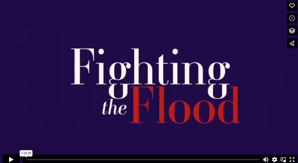 Fighting the Flood