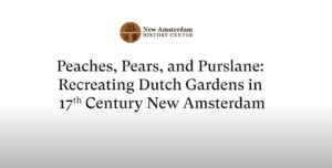 Peaches, Pears, and Purslane – Recreating Dutch Gardens in 17th Century New Amsterdam