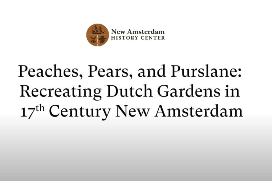 Peaches, Pears, and Purslane – Recreating Dutch Gardens in 17th Century New Amsterdam
